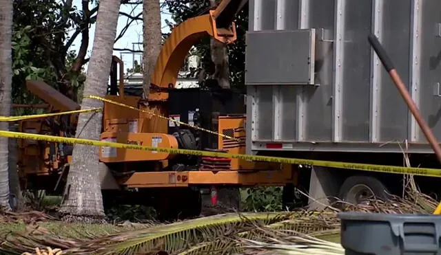 Las circunstancias que rodearon el trágico accidente están bajo investigación, con un enfoque en el cumplimiento de las normativas de seguridad en el sector de la arboricultura. Foto: Telemundo