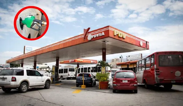 La gasolina subsidiada en Venezuela se distribuye tomando en cuenta el número terminal de placa de los vehículos. Foto: composiciónLR/Naguara/Notitarde