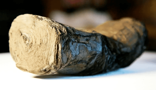 El manuscrito Herculano tenía décadas conservado en un almacén en una biblioteca de Oxford. Foto: Vesuvius Challenge