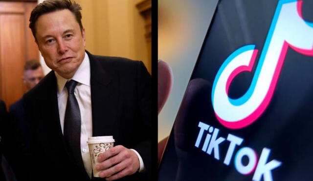 Elon Musk afirmó no tener planes en mente, sí se adueña de TikTok. Foto: CNN