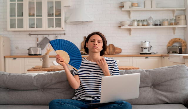 Aprende a mantener frensa tu vivienda en esta temporada de calor. Foto: difusión