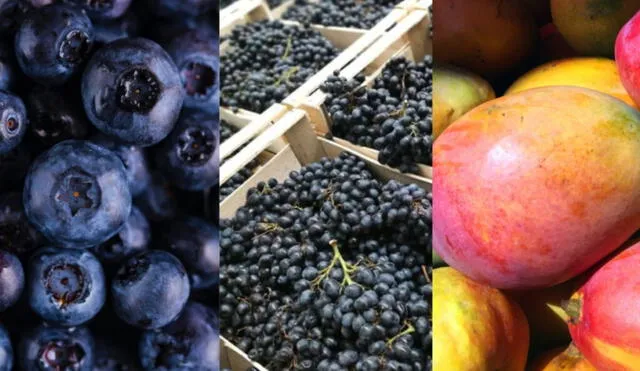 Las ventas en exportaciones de frutas y hortalizas sumaron más de US$7.628 millones. Foto: Andina Las ventas en exportaciones de frutas y hortalizas sumaron más de US$7.628 millones. Foto: Andina