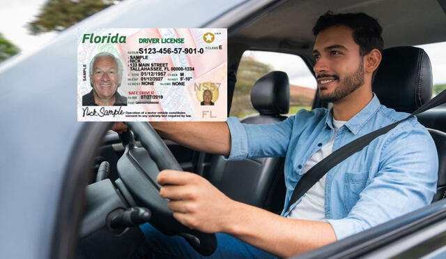Obtener una licencia de conducir en Florida es crucial para inmigrantes, quienes necesitan cumplir con requisitos específicos según su estatus migratorio ante el FLHSMV. Foto: composición LR/ Freepik