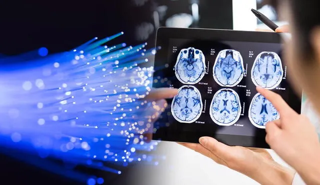 Los avances en esta fibra ultrafina, comparable al grosor de un cabello humano, prometen revolucionar tanto la medicina como las telecomunicaciones. Foto: composición LR/123RF Los avances en esta fibra ultrafina, comparable al grosor de un cabello humano, prometen revolucionar tanto la medicina como las telecomunicaciones. Foto: composición LR/123RF
