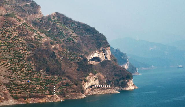 La foto tomada el 20 de enero y publicada por Guo Qingshan, se ve la "montaña de cachorro" que se volvió viral en Internet en China. Foto: Guo Qingshan La foto tomada el 20 de enero y publicada por Guo Qingshan, se ve la "montaña de cachorro" que se volvió viral en Internet en China. Foto: Guo Qingshan