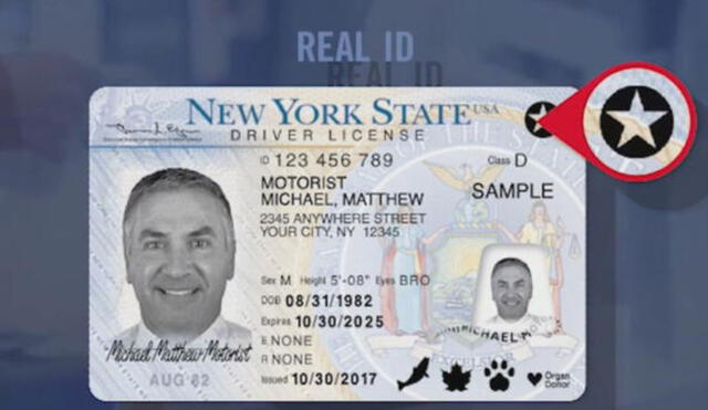 Conoce hasta cuándo tienes para sacar el Real ID en Nueva York. Foto: Univisión Conoce hasta cuándo tienes para sacar el Real ID en Nueva York. Foto: Univisión
