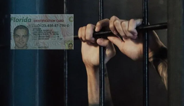 Descubre las sanciones por no portar licencia de conducir en Florida. Foto: Lr/CNN Descubre las sanciones por no portar licencia de conducir en Florida. Foto: Lr/CNN