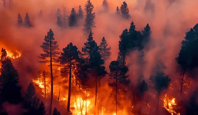 El gobernador Henry McMaster proclamó el estado de emergencia debido a más de 175 incendios activos en Carolina del Sur. Foto: The Conversation El gobernador Henry McMaster proclamó el estado de emergencia debido a más de 175 incendios activos en Carolina del Sur. Foto: The Conversation