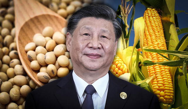 China, bajo la dirección de Xi Jinping, responde al aumento de aranceles de Trump con medidas de represalia, que incluyen impuestos y restricciones a productos agrícolas de EE.UU. Foto: composición LR/AFP/Semana China, bajo la dirección de Xi Jinping, responde al aumento de aranceles de Trump con medidas de represalia, que incluyen impuestos y restricciones a productos agrícolas de EE.UU. Foto: composición LR/AFP/Semana