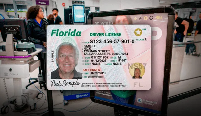 Los inmigrantes en Miami-Dade pueden acceder a la licencia de conducir. Foto: Composición LR Los inmigrantes en Miami-Dade pueden acceder a la licencia de conducir. Foto: Composición LR