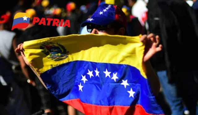 La mayoría de bonos de la patria se entregan por la plataforma del mismo nombre. Foto: composiciónLR/Freepik/Patria La mayoría de bonos de la patria se entregan por la plataforma del mismo nombre. Foto: composiciónLR/Freepik/Patria