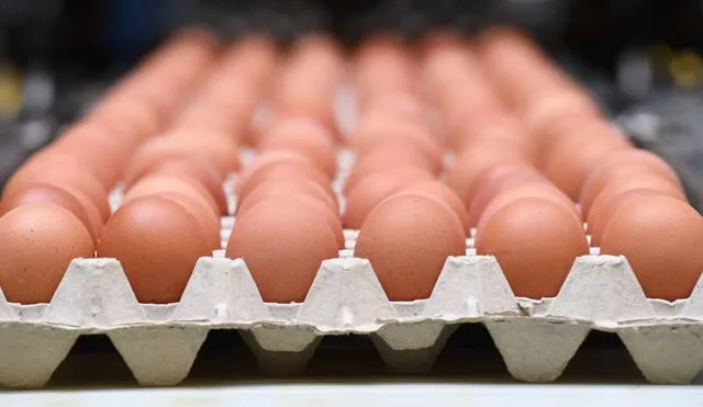 Con la recuperación de la industria avícola ante la gripe aviar en Estados Unidos, se prevé alcanzar un 60% de producción para julio. Foto: CNN Con la recuperación de la industria avícola ante la gripe aviar en Estados Unidos, se prevé alcanzar un 60% de producción para julio. Foto: CNN