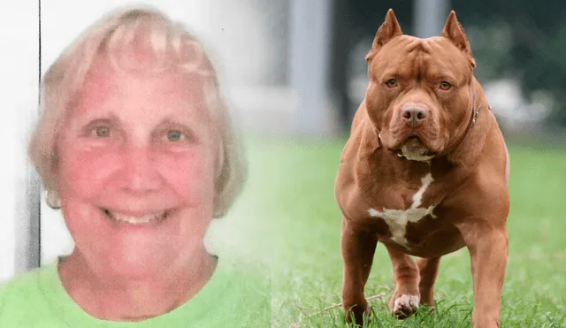 Una anciana en Ohio murió tras ser atacada por dos perros de raza pitbull. Foto: Composición LR Una anciana en Ohio murió tras ser atacada por dos perros de raza pitbull. Foto: Composición LR