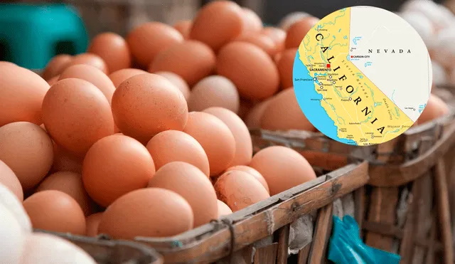 Se distribuirán 200 cajas de huevos, y se recomienda llegar temprano, ya que la entrega será por orden de llegada. Foto: Composición LR/iStock/Semana Se distribuirán 200 cajas de huevos, y se recomienda llegar temprano, ya que la entrega será por orden de llegada. Foto: Composición LR/iStock/Semana