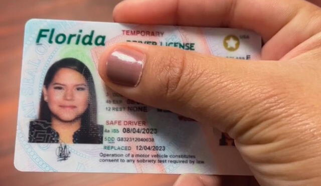 Las licencias de conducir en Florida con estrella dorada cumplen con los requisitos de REAL ID. Foto: Univision Las licencias de conducir en Florida con estrella dorada cumplen con los requisitos de REAL ID. Foto: Univision