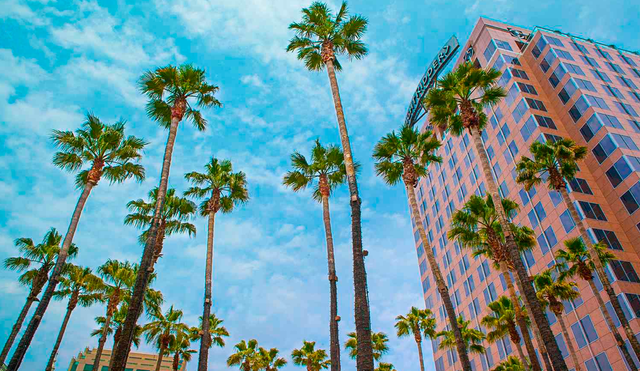 Conoce cual es la ciudad más cara de California para vivir este 2025, según un ranking de SmartAsset. Foto: Travel + Leisure