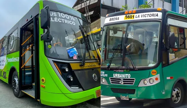 Líneas de buses 'El Urbanito' tienen capacidad para 80 personas. Foto: Composición LR/Andina/CDN Líneas de buses 'El Urbanito' tienen capacidad para 80 personas. Foto: Composición LR/Andina/CDN