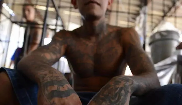 El anuncio se realiza una semana después de que Bondi elogiara el arresto del presunto líder de la pandilla MS-13 en la costa este. Foto: AFP. El anuncio se realiza una semana después de que Bondi elogiara el arresto del presunto líder de la pandilla MS-13 en la costa este. Foto: AFP.