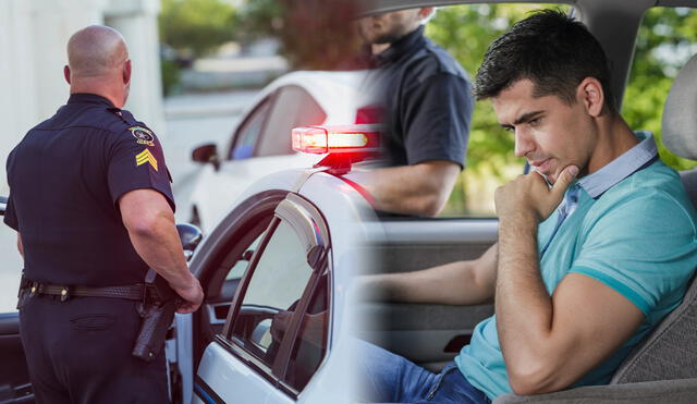 Los conductores de Florida pueden personalizar sus vehículos, pero deben cumplir estrictas normas para las matrículas. Foto: composición LR/Freepik Los conductores de Florida pueden personalizar sus vehículos, pero deben cumplir estrictas normas para las matrículas. Foto: composición LR/Freepik