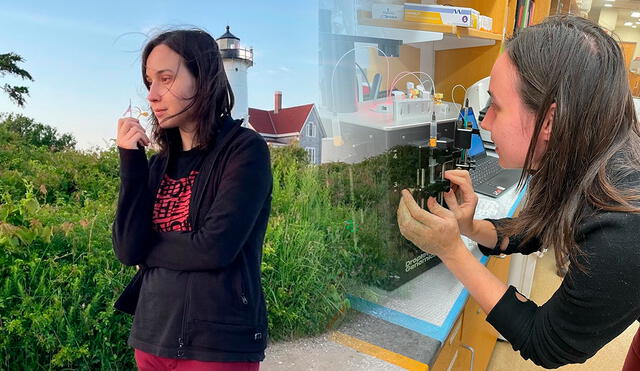 El DHS confirmó que detuvo a Petrova por ingresar elementos biológicos ilegalemente, lo que ocasionó su detención. Foto: Attorney Greg Romanovsky/Cora Anderson/Facebook El DHS confirmó que detuvo a Petrova por ingresar elementos biológicos ilegalemente, lo que ocasionó su detención. Foto: Attorney Greg Romanovsky/Cora Anderson/Facebook