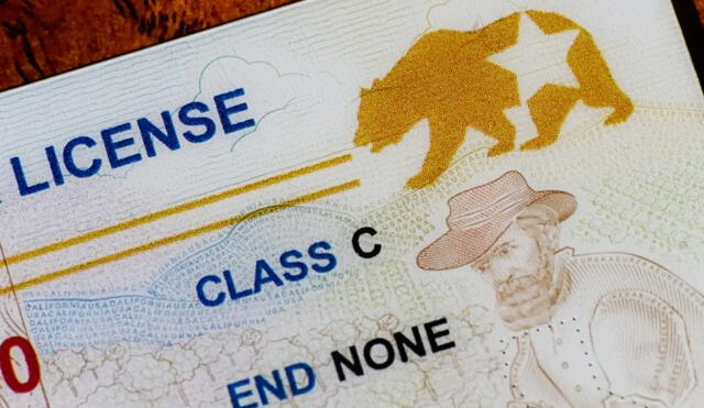 Para obtener la Real ID, se requiere prueba de identidad, número de Seguro Social y dos comprobantes de residencia. Foto: Patch Para obtener la Real ID, se requiere prueba de identidad, número de Seguro Social y dos comprobantes de residencia. Foto: Patch