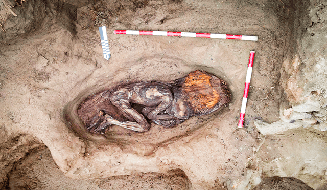 Los trabajos de excavación en Caral permitieron identificar un fardo funerario en condiciones de conservación inusuales. Foto: Gobierno del Perú. Los trabajos de excavación en Caral permitieron identificar un fardo funerario en condiciones de conservación inusuales. Foto: Gobierno del Perú.