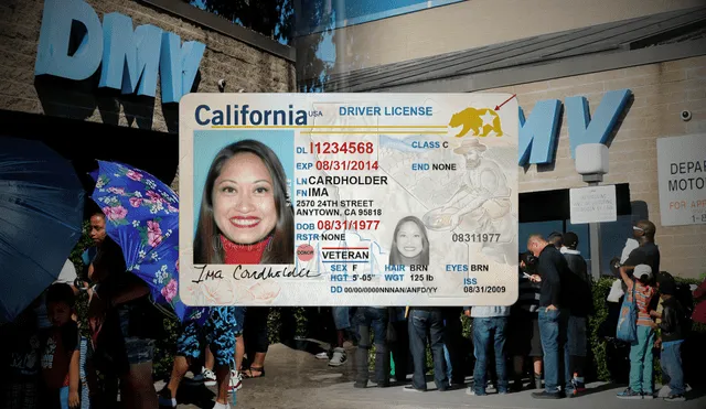 El DMV de California ofrece la Real ID gratis para mayores de 62 años y tarifa reducida para otros grupos. Foto: composición LR/DMV/Los Angeles Times El DMV de California ofrece la Real ID gratis para mayores de 62 años y tarifa reducida para otros grupos. Foto: composición LR/DMV/Los Angeles Times