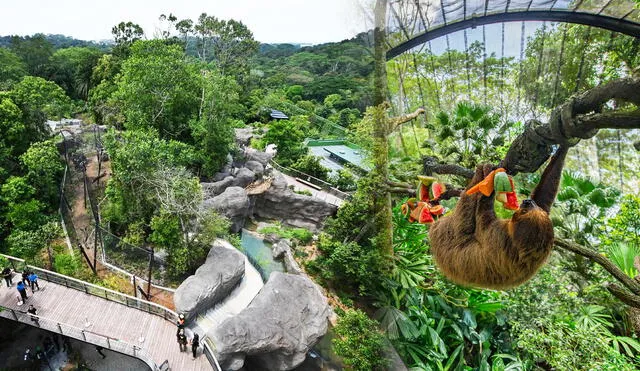 Este es el zoológico más grande del mundo y cuenta con diversas especies en peligro de extinción. Foto: composición LR/Thrillophilia/The Straits Times Este es el zoológico más grande del mundo y cuenta con diversas especies en peligro de extinción. Foto: composición LR/Thrillophilia/The Straits Times