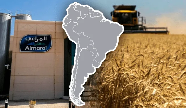 Almarai, la principal empresa láctea de Arabia Saudita, adquirió en 2011 la firma argentina Fondomonte S.A. Foto: Composición LR/GlobalCapital/La Nación. Almarai, la principal empresa láctea de Arabia Saudita, adquirió en 2011 la firma argentina Fondomonte S.A. Foto: Composición LR/GlobalCapital/La Nación.