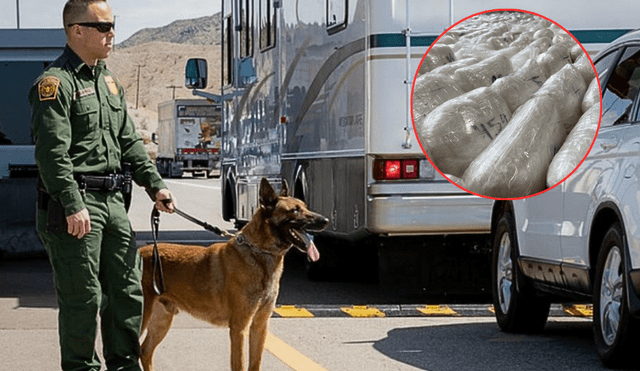 En el vehículo se encontró 54.2 kilogramos de metanfetamina valorizada en US$105.000. Foto: composición LR/EL Tiempo. En el vehículo se encontró 54.2 kilogramos de metanfetamina valorizada en US$105.000. Foto: composición LR/EL Tiempo.