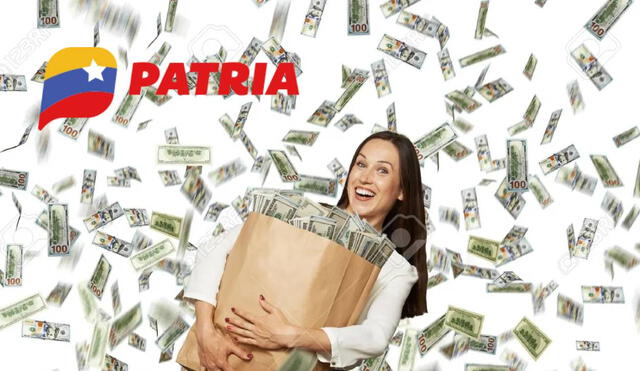 La mayoría de bonos de la patria se entregan por la plataforma del mismo nombre. Foto: composiciónLR/Todo Jujuy/Patria La mayoría de bonos de la patria se entregan por la plataforma del mismo nombre. Foto: composiciónLR/Todo Jujuy/Patria