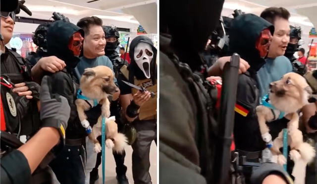 El video tiene más de 8 millones de vistas en la plataforma. Foto: captura de TikTok/@kenjitsuki