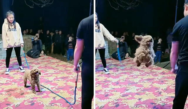 “Juega mejor que yo”, reaccionaron usuarios. Foto: composición LR/ TikTok