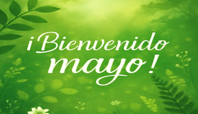 Comparte bonitas frases y reflexiones para iniciar el mes de mayo 2025. Foto: Composición LR/IA. Comparte bonitas frases y reflexiones para iniciar el mes de mayo 2025. Foto: Composición LR/IA.