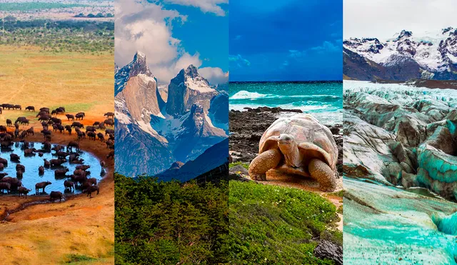 Uno de los parques más importantes del mundo según TripAdvisor está en Ecuador. Foto: composición LR/Jazmin Ceras/TripAdvisor