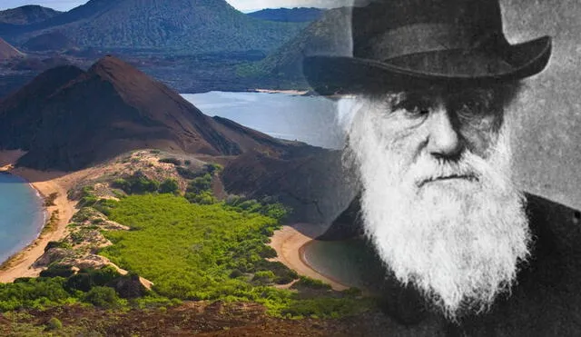 Charles Darwin llegó a las Islas Galápagos y quedó cautivado por el archipiélago que lo ayudó a realizar la teoría de la selección natural.. Foto: composición LR/ X/ EFE Charles Darwin llegó a las Islas Galápagos y quedó cautivado por el archipiélago que lo ayudó a realizar la teoría de la selección natural.. Foto: composición LR/ X/ EFE