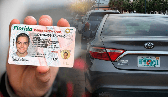 Florida: nueva norma del FLSHMV obligará a ciertos conductores a renovar la  licencia de conducir cada año | LRTMUS | Datos Estados Unidos | La República