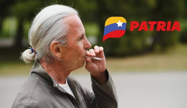 La mayoría de bonos se entregan por el Sistema Patria de Venezuela. Foto: composiciónLR/Freepik/Patria La mayoría de bonos se entregan por el Sistema Patria de Venezuela. Foto: composiciónLR/Freepik/Patria
