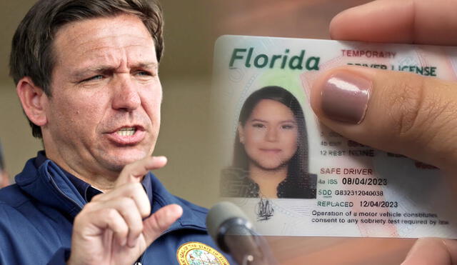 Ron DeSantis implementa la Ley SB 1600, que agiliza la obtención de la Licencia Universal de trabajo en Florida. Foto: composición LR/AFP/Univisión Ron DeSantis implementa la Ley SB 1600, que agiliza la obtención de la Licencia Universal de trabajo en Florida. Foto: composición LR/AFP/Univisión