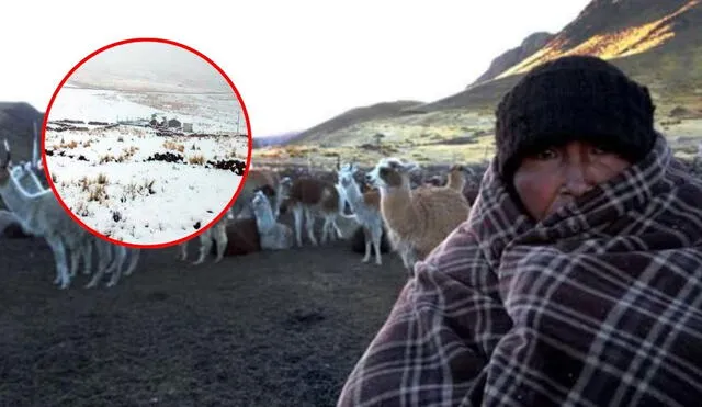 Frío extremo en Arequipa: estos distritos estarán hasta 10 grados bajo cero, advierte Senamhi Frío extremo en Arequipa: estos distritos estarán hasta 10 grados bajo cero, advierte Senamhi