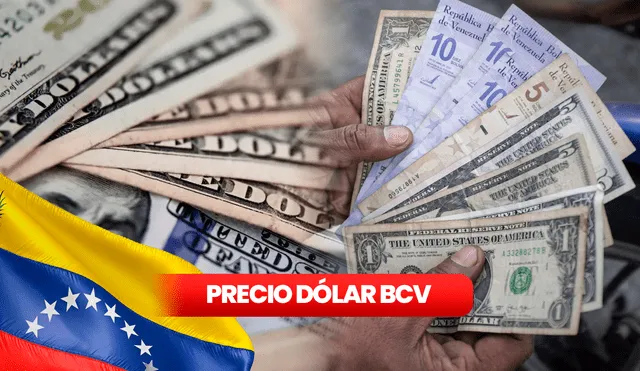 Precio del dólar BCV hoy, 9 de mayo: consulta la tasa del dólar, vía Banco Central de Venezuela. Foto: Composición LR Precio del dólar BCV hoy, 9 de mayo: consulta la tasa del dólar, vía Banco Central de Venezuela. Foto: Composición LR
