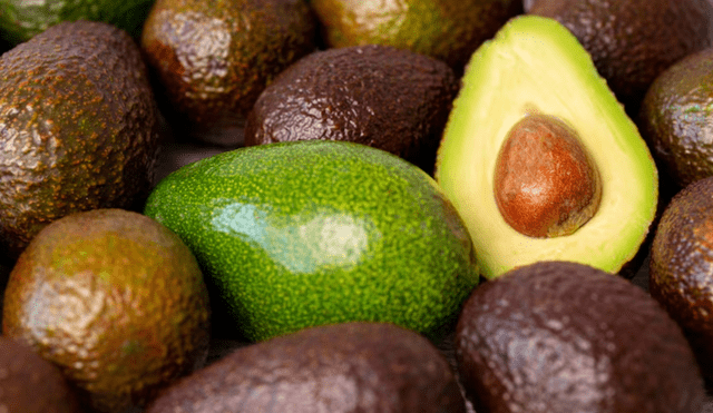 Con un crecimiento proyectado de ingresos que superará los 26.000 millones de dólares para 2030, la palta se consolida como superalimento global. Foto: Freepik Con un crecimiento proyectado de ingresos que superará los 26.000 millones de dólares para 2030, la palta se consolida como superalimento global. Foto: Freepik