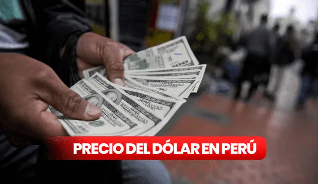 Precio del dólar hoy, 10 de mayo de 2025. Foto: Composición LR. Precio del dólar hoy, 10 de mayo de 2025. Foto: Composición LR.