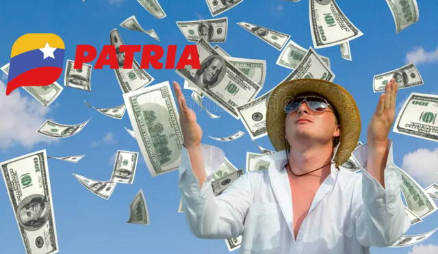 La mayoría de bonos de la patria llegan por la plataforma del mismo nombre. Foto: composiciónLR/Dreamstime/Patria La mayoría de bonos de la patria llegan por la plataforma del mismo nombre. Foto: composiciónLR/Dreamstime/Patria