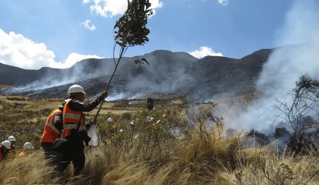 Adulto mayor fallece en incendio forestal. Foto: archivo La República