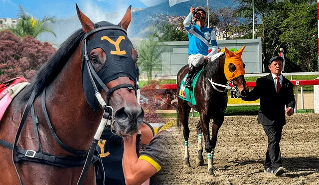 Gaceta Hípica ya publicó sus favoritos para el 5y6 de La Rinconada. Foto: composición LR/INH Gaceta Hípica ya publicó sus favoritos para el 5y6 de La Rinconada. Foto: composición LR/INH