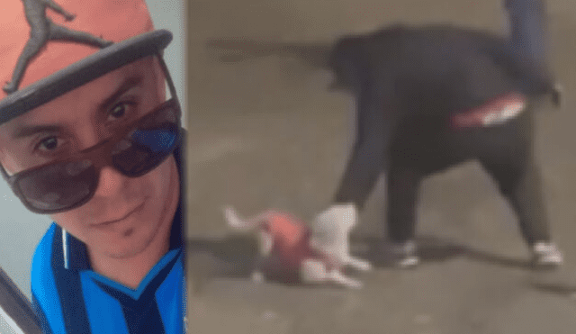 Asesinan brutalmente a perrita en Trujillo. Foto: difusión Asesinan brutalmente a perrita en Trujillo. Foto: difusión