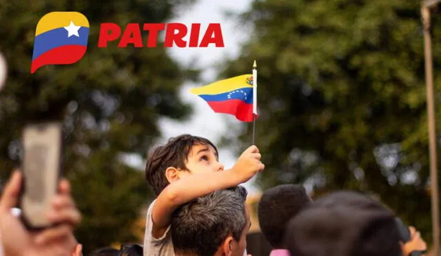 La mayoría de bonos de la patria llegan por la plataforma del mismo nombre. Foto: composiciónLR/Freepik/Patria La mayoría de bonos de la patria llegan por la plataforma del mismo nombre. Foto: composiciónLR/Freepik/Patria