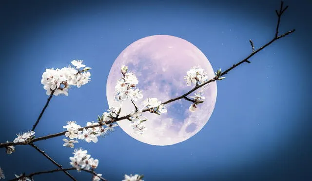 La Luna de las Flores 2025 será un fenómeno astronómico destacado, visible el 12 de mayo a las 18:56 horas, cuando se encontrará en la constelación de Libra, ofreciendo un espectáculo único. Foto: Orbital Today La Luna de las Flores 2025 será un fenómeno astronómico destacado, visible el 12 de mayo a las 18:56 horas, cuando se encontrará en la constelación de Libra, ofreciendo un espectáculo único. Foto: Orbital Today