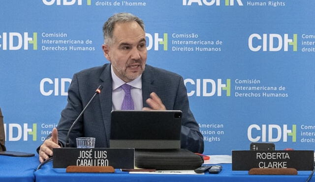 Presidente de la CIDH, José Luis Caballero, señala que la Comisión está evaluando la ley anti-ONG Presidente de la CIDH, José Luis Caballero, señala que la Comisión está evaluando la ley anti-ONG